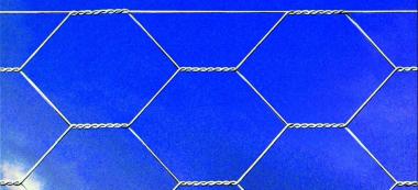 Rete zinc. tripla per pollaio 25x3 h100