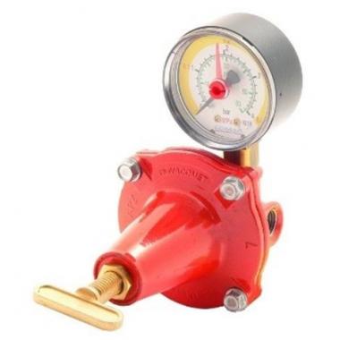 REGOLATORE GPL Kg/h 12-18