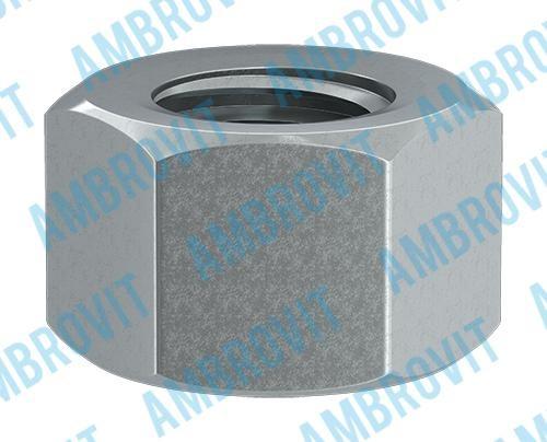 Dado esagonale sw 19  nichelata m 12 200 pz