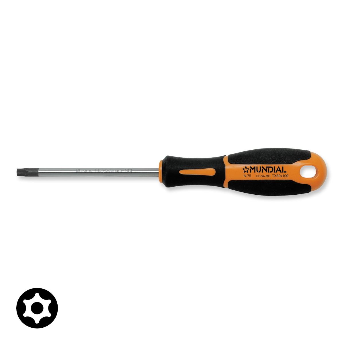 Giravite torx tx 30x100