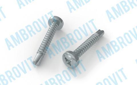 VITE AUTOPERFORANTE TESTA CILINDRICA PH PH 2 3,9X13 ZINC. NERA Cr3