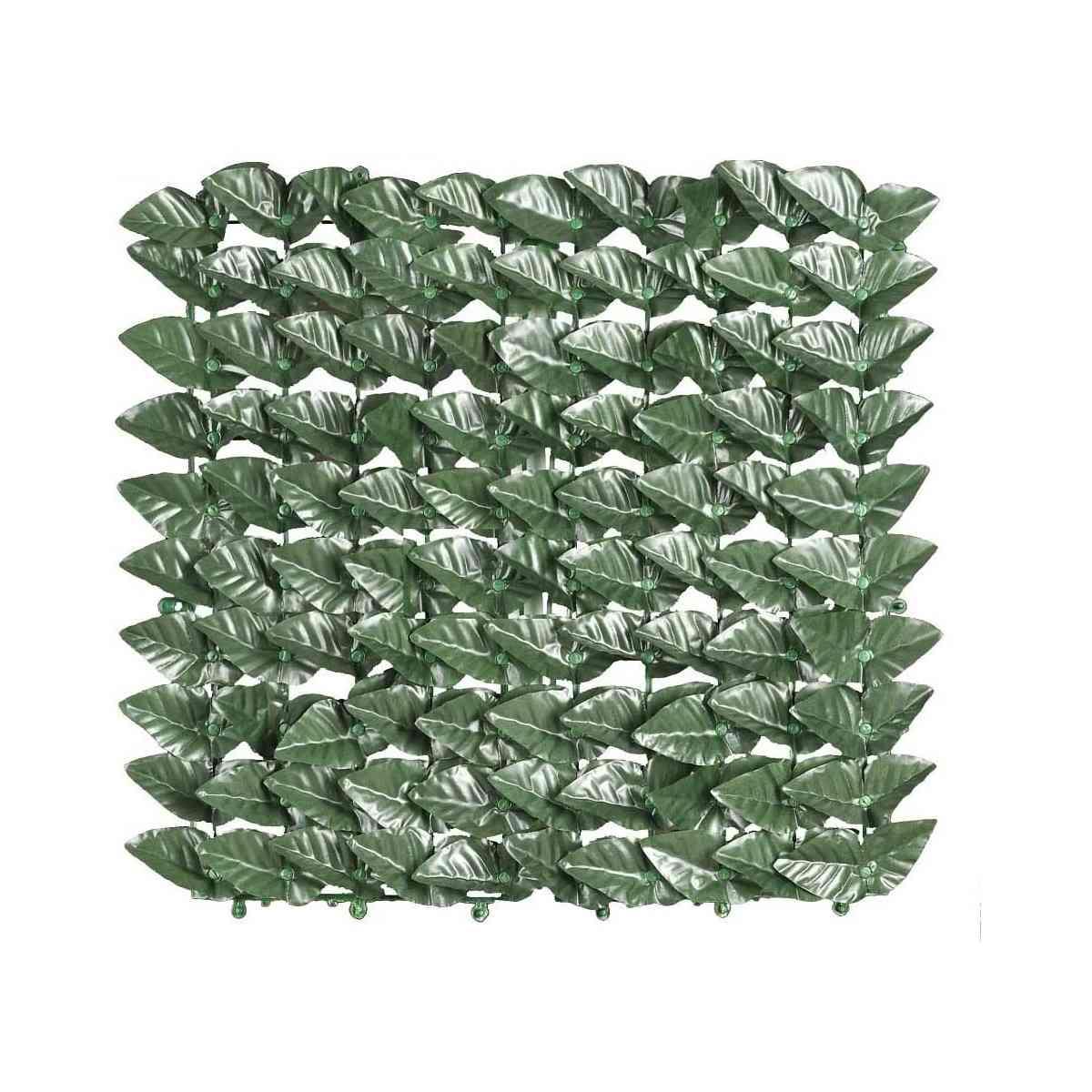 EDERA FINTA ARELLE SEMPREVERDI LAURO MT.1X3<br />