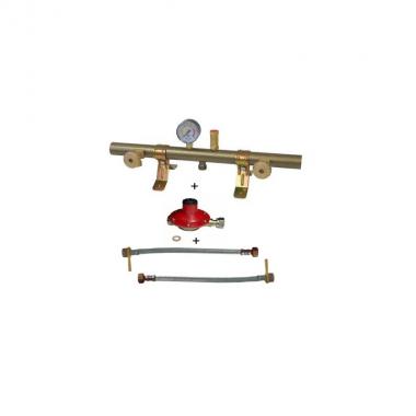 Centralina 2 attacchi completa di regolatore 4kg/h