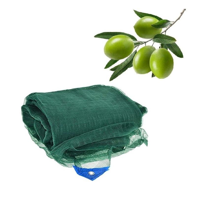 Rete antispina per olive mt. 6x6