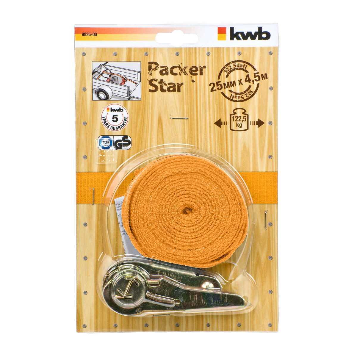 CINGHIA DI ANCORAGGIO C/CRICCHETTO  mm25x4,5 mt