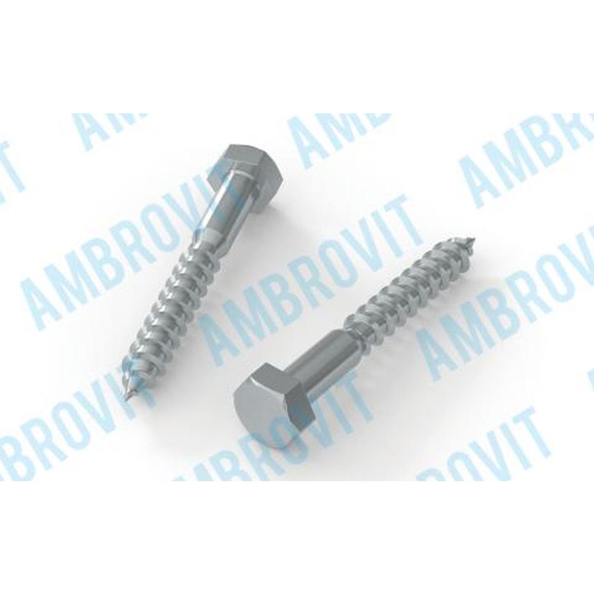 TIRAFONDO DIN 571 4.8 - UNI 704 SW 17 MM 10X180 Cf 50 pz