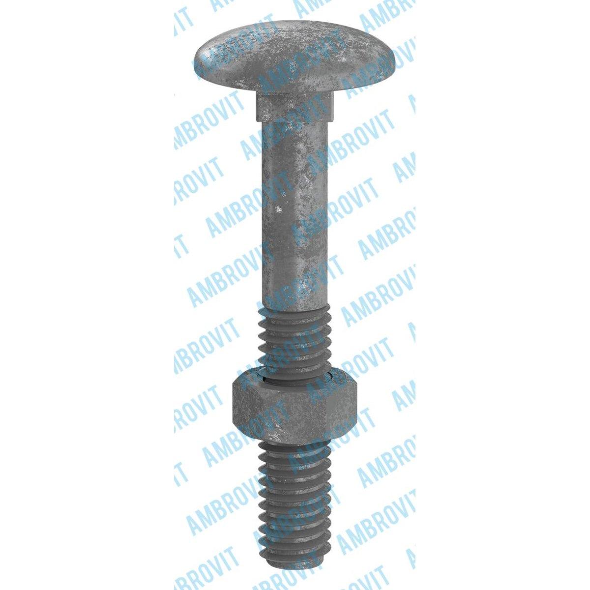 DIN 603/555 - UNI 5732 VITE METRICA TESTA TONDA CON QUADRO SOTTO TESTA  CON DADO ESAG. MM 6X40/21 Cf 200 pz