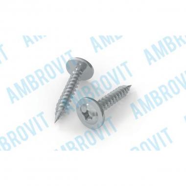 VITE C/GESSO TMT RAN. PH FILETTO A 2 PRINCIPI CON INSERTO PH 2 MM 4,2X13 Cf 1000 pz