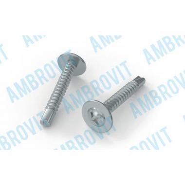 VITE AUTOPERFORANTE TMT RAN. PH   PH 2 MM 4,8X45 Cf 200 pz