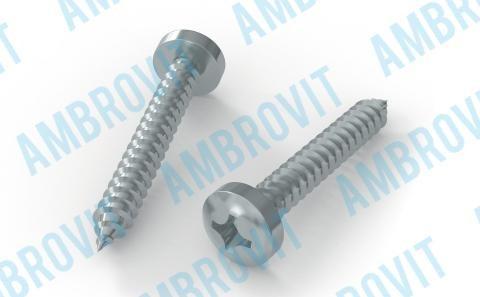 Vite autofilettante testa cilindrica ph ph 2 3,9x6,5 nichelata