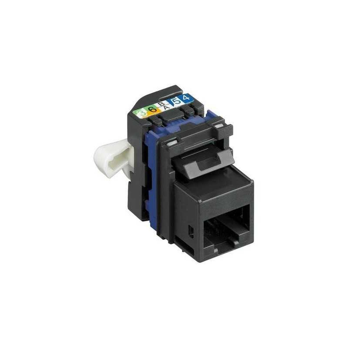 Presa rj45 cat 6 utp