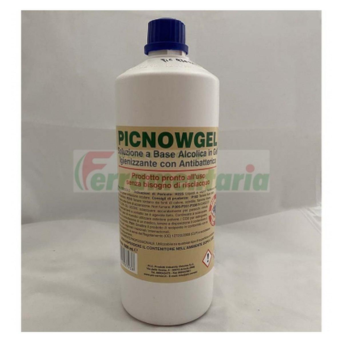 Gel igienizzante con antibatterico 1 lt picnowgel