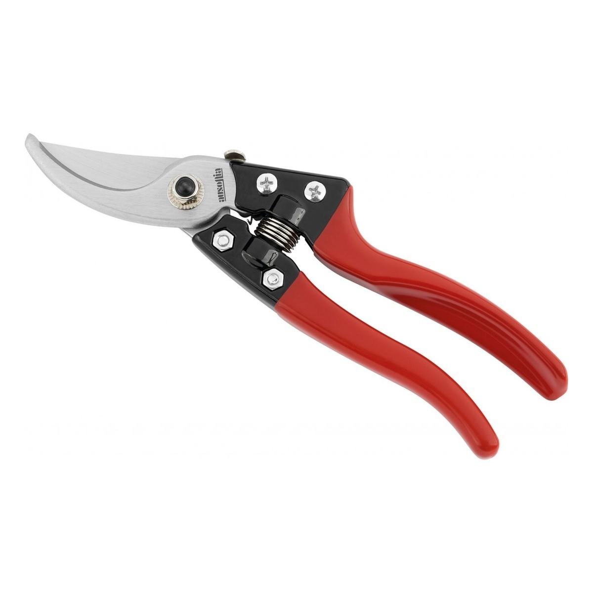 Forbice vigna professionale cm 20 ausonia