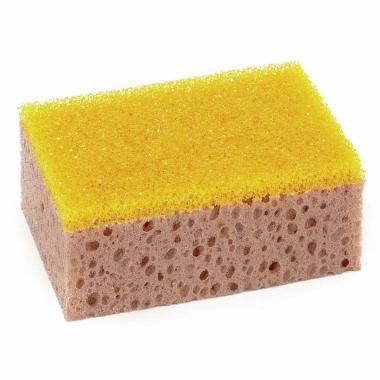 Spugna leva insetti start