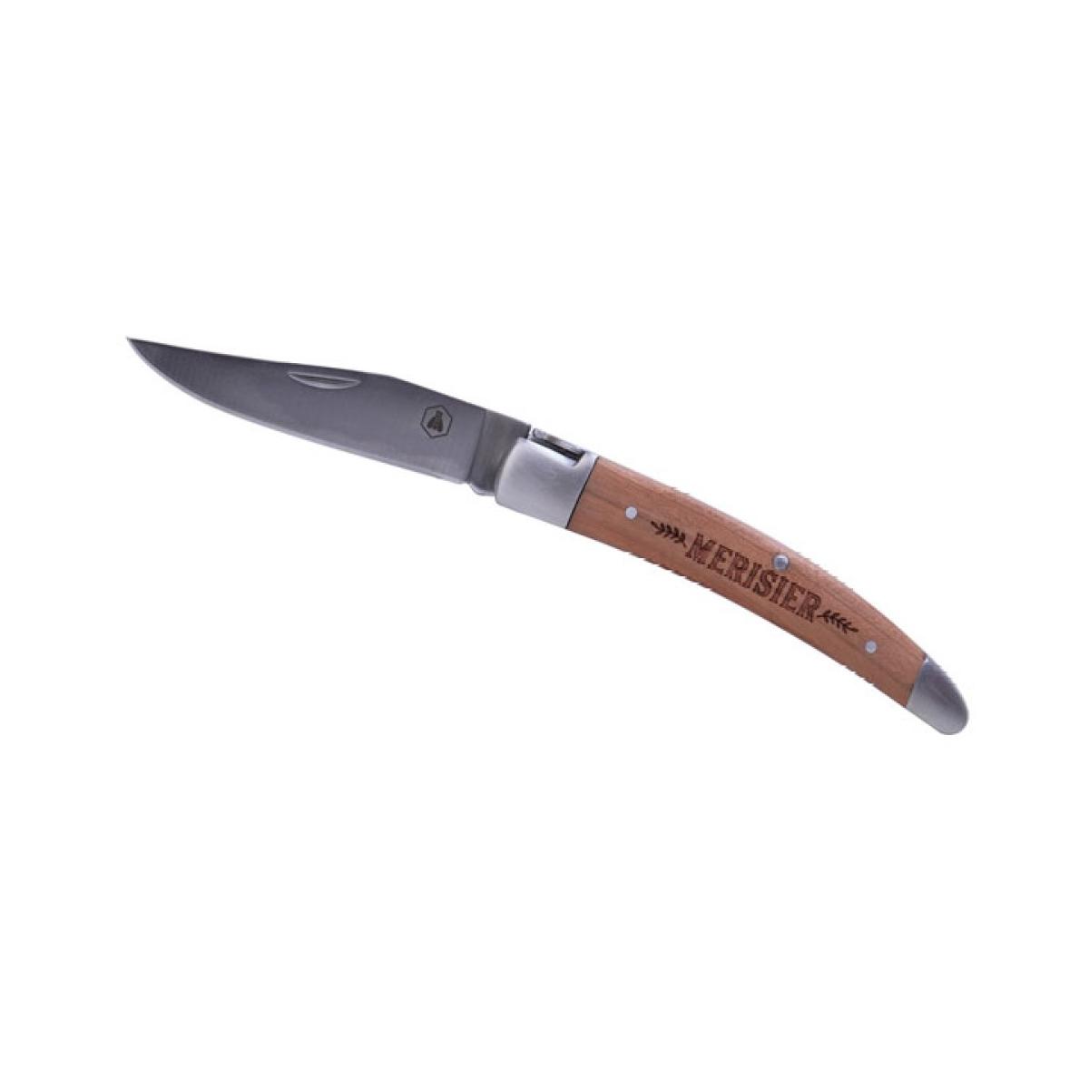 Coltello vari colori cm.19,5