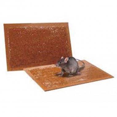 Tavoletta topicida inverde 2pz. cm.19x28