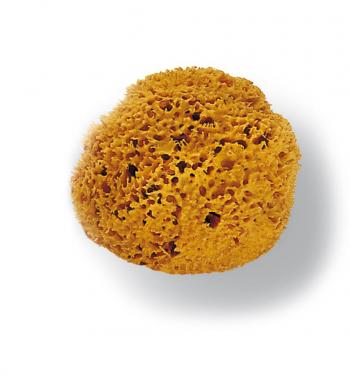 Spugna marina n.22