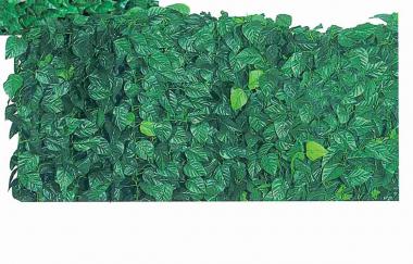 Arella sempreverde modello lauro 100x20mt