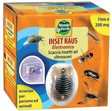 INSET RAUS ELETTRONICO 200 mq